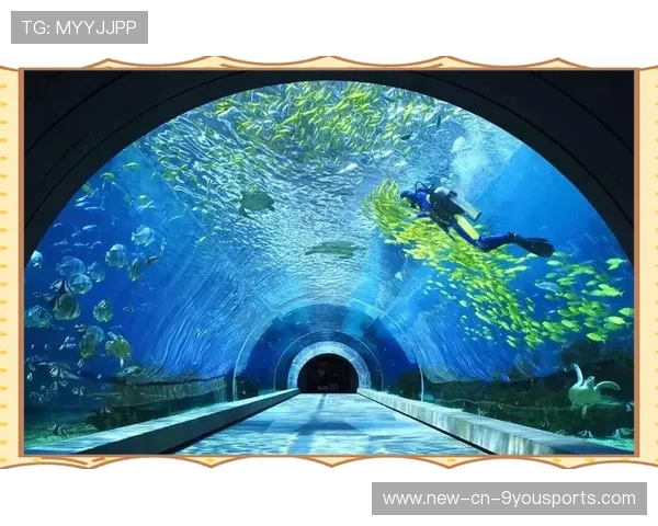 特色海域潜水乐园,探索海底奇观的神秘之门,潜水海底世界 特色海域潜水乐园,探索海底奇观的神秘之门,潜水海底世界